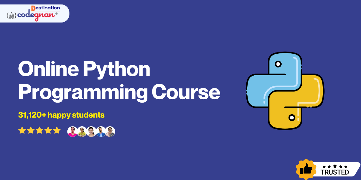 Online Python Programming Course