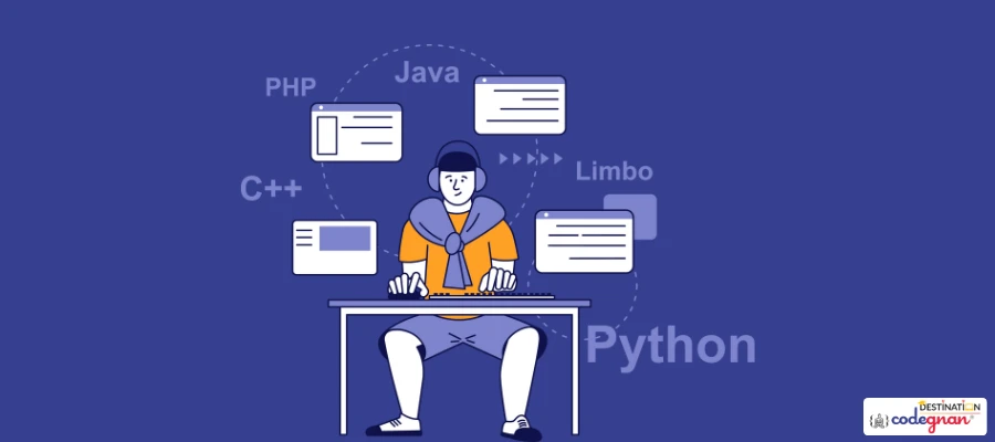 Become a Python Full Stack Developer illustration